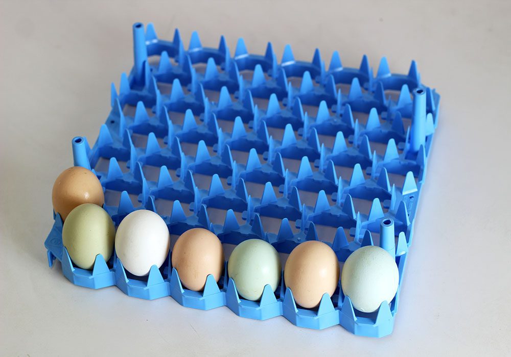 Staggered Incubator Tray - Image 2