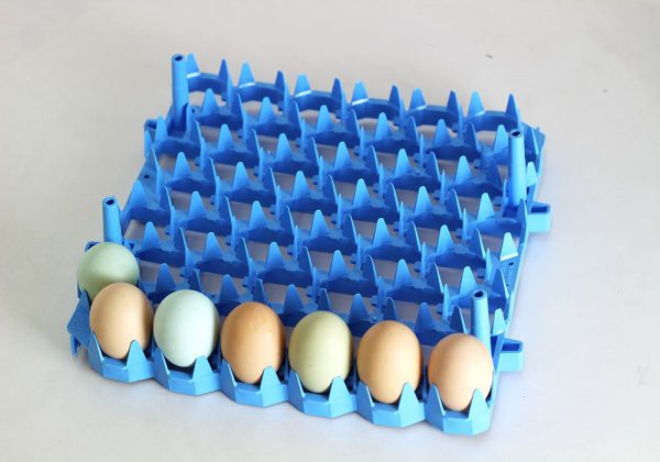 Staggered Incubator Tray with Bumpers - Image 2