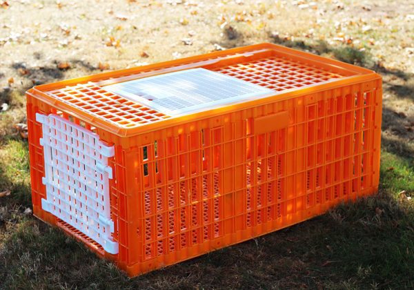 Turkey coop – knocked down