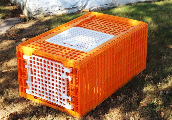 Turkey coop – knocked down - Image 2