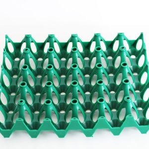 5x6 Natureform Replacement Incubator Tray